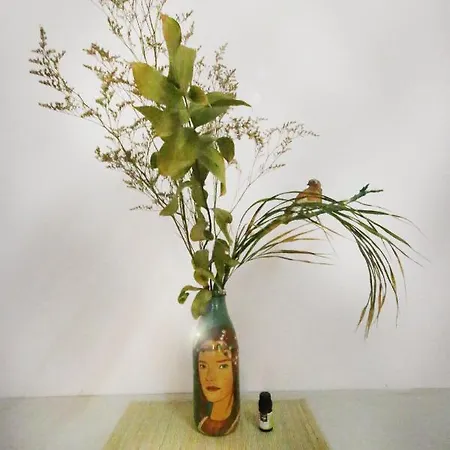 Mahalo Healthy House 招待所 *